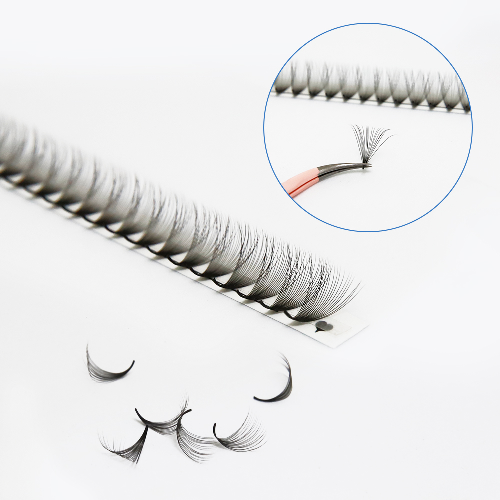 JB Jeyelabeau 6D 10D 20D 30D P - Eyelash Extension Review review and price