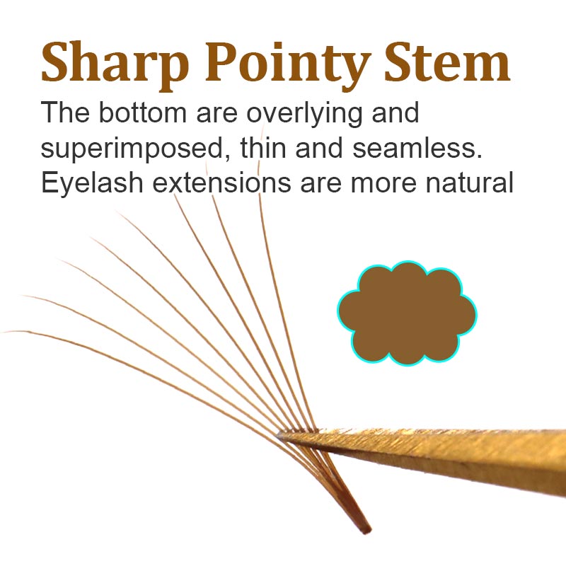 320 Colored Pointy Base Brown  - Eyelash Extension Review review and price