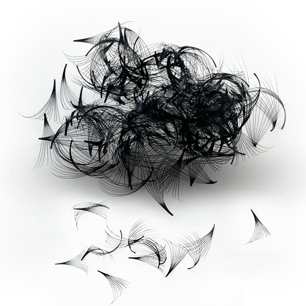 Tbestt Premade Fans Lashes 10D - Eyelash Extension Review review and price